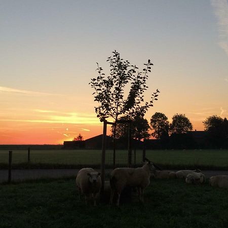 Cothen Boerengastenverblijf De Kromme Rijn المظهر الخارجي الصورة