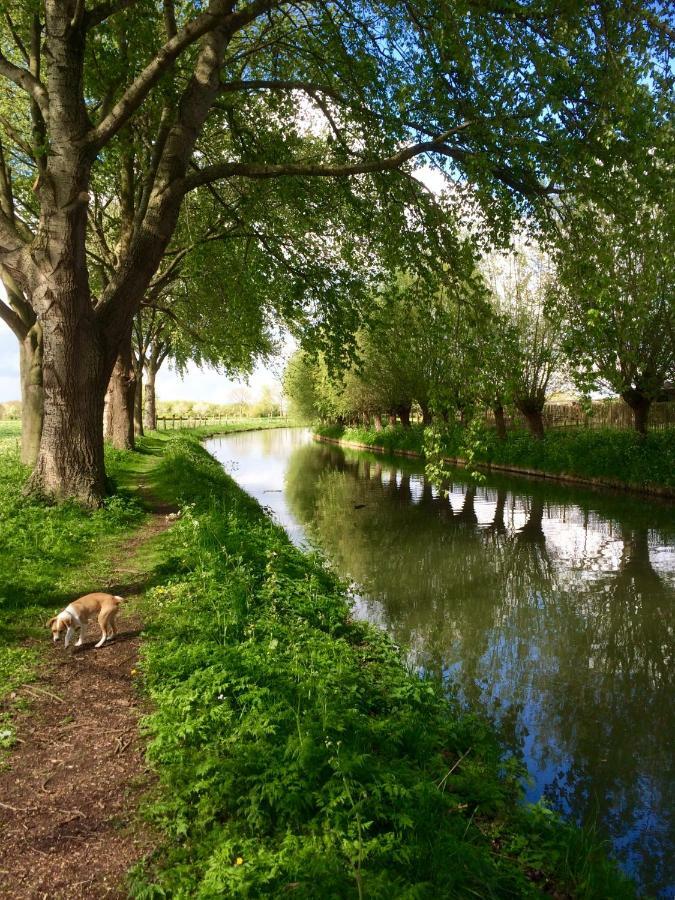 Cothen Boerengastenverblijf De Kromme Rijn المظهر الخارجي الصورة